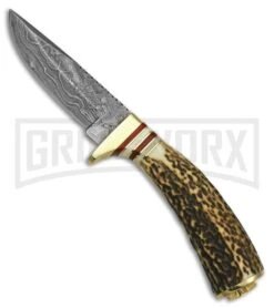 Rite Edge Whitetail Husk Brown Stag Fixed Blade Knife - Damascus Plain