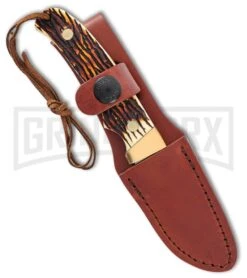 Schrade SCHPH2N Pro Hunter Mini Fixed Blade Knife - Satin Plain -Elite Knives Shop Schrade Pro Hunter Mini satin BHQ 62071 er sheath large