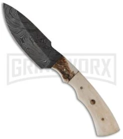 Tallen Hunting Camel Bone Stag Horn Fixed Blade Knife - Damascus Plain